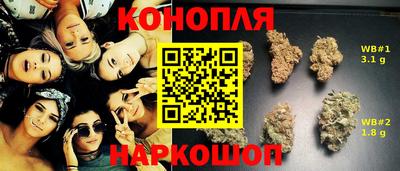гидропоника Бугуруслан