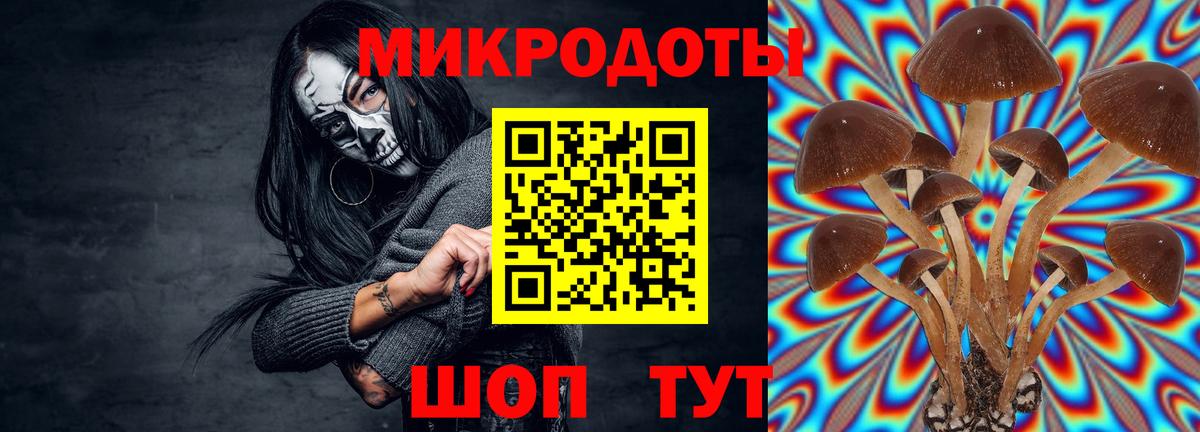 Галлюциногенные грибы MAGIC MUSHROOMS Кумертау